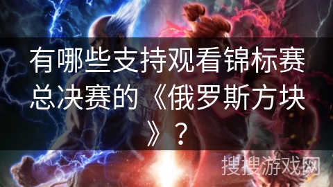 有哪些支持观看锦标赛总决赛的《俄罗斯方块》？