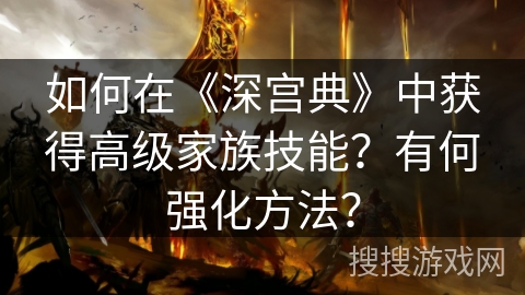 如何在《深宫典》中获得高级家族技能？有何强化方法？
