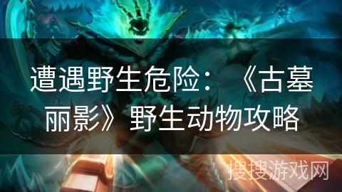 遭遇野生危险：《古墓丽影》野生动物攻略