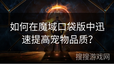 如何在魔域口袋版中迅速提高宠物品质？