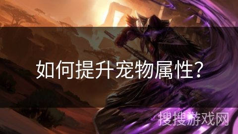 如何提升宠物属性？