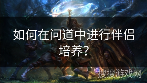 如何在问道中进行伴侣培养？