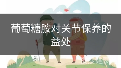 葡萄糖胺对关节保养的益处