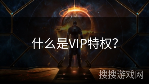 什么是VIP特权？