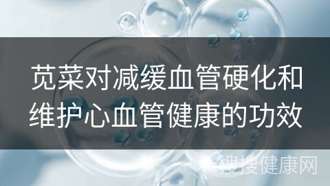 苋菜对减缓血管硬化和维护心血管健康的功效