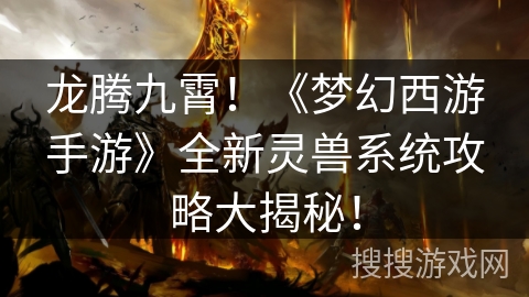 龙腾九霄！《梦幻西游手游》全新灵兽系统攻略大揭秘！