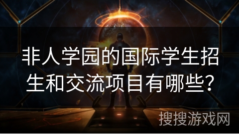 非人学园的国际学生招生和交流项目有哪些？