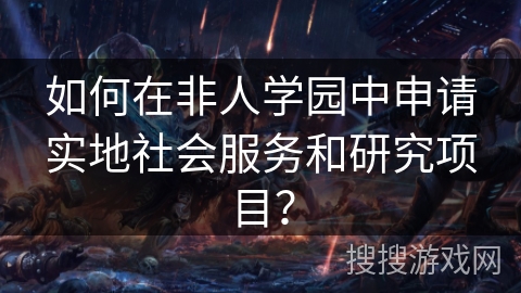 如何在非人学园中申请实地社会服务和研究项目？