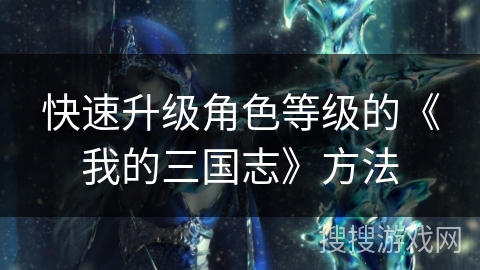 快速升级角色等级的《我的三国志》方法