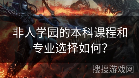 非人学园的本科课程和专业选择如何？