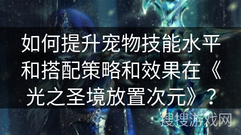如何提升宠物技能水平和搭配策略和效果在《光之圣境放置次元》？