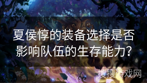 夏侯惇的装备选择是否影响队伍的生存能力？