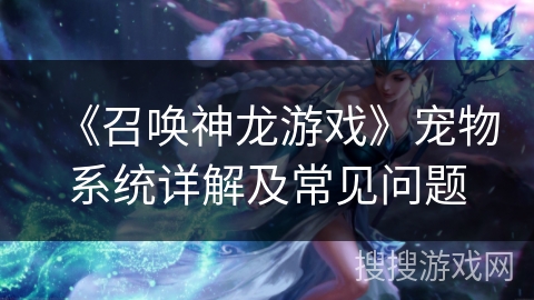 《召唤神龙游戏》宠物系统详解及常见问题