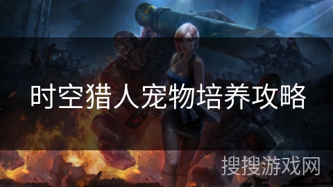 时空猎人宠物培养攻略