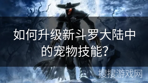 如何升级新斗罗大陆中的宠物技能？