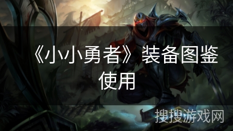 《小小勇者》装备图鉴使用