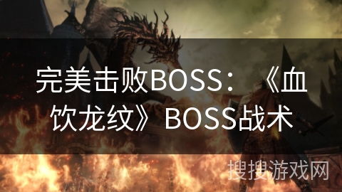 完美击败BOSS：《血饮龙纹》BOSS战术