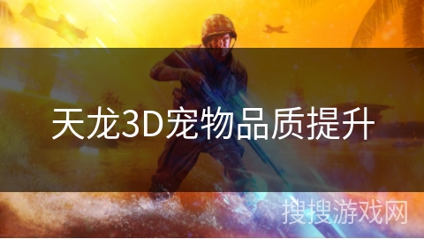 天龙3D宠物品质提升