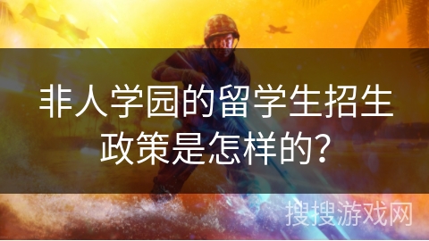 非人学园的留学生招生政策是怎样的？