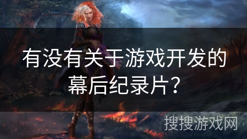 有没有关于游戏开发的幕后纪录片？