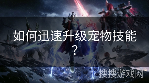 如何迅速升级宠物技能？