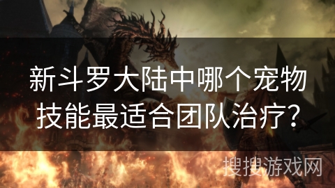 新斗罗大陆中哪个宠物技能最适合团队治疗？