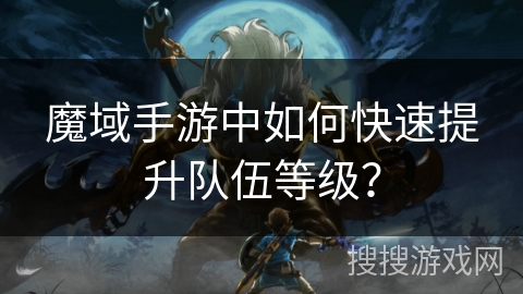 魔域手游中如何快速提升队伍等级？