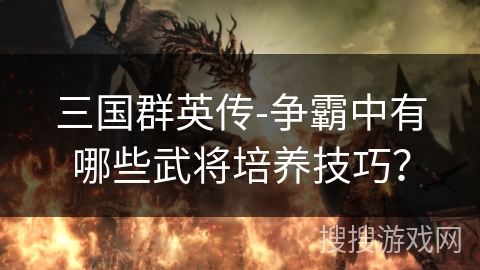 三国群英传-争霸中有哪些武将培养技巧？