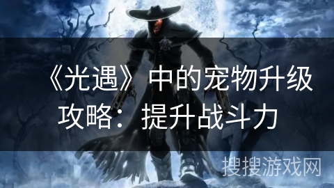 《光遇》中的宠物升级攻略：提升战斗力