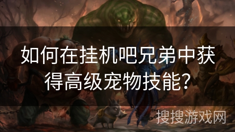 如何在挂机吧兄弟中获得高级宠物技能？