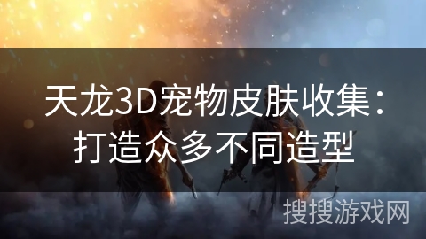 天龙3D宠物皮肤收集：打造众多不同造型