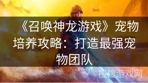 《召唤神龙游戏》宠物培养攻略：打造最强宠物团队