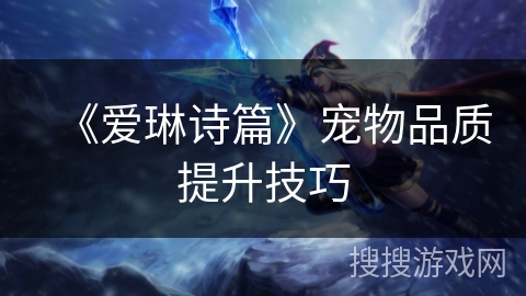 《爱琳诗篇》宠物品质提升技巧