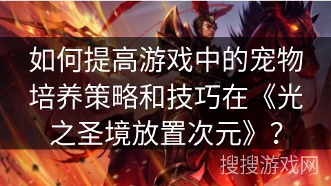 如何提高游戏中的宠物培养策略和技巧在《光之圣境放置次元》？