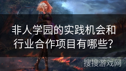 非人学园的实践机会和行业合作项目有哪些？