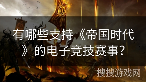 有哪些支持《帝国时代》的电子竞技赛事? 有哪些支持《帝国时代》的电子竞技赛事?