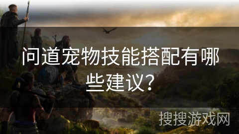 问道宠物技能搭配有哪些建议? 问道宠物技能搭配有哪些建议?