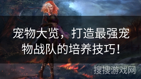 宠物大览,打造最强宠物战队的培养技巧! 宠物大览,打造最强宠物战队的培养技巧!