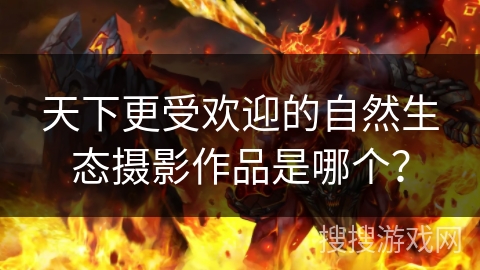 天下更受欢迎的自然生态摄影作品是哪个？