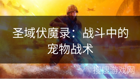 圣域伏魔录：战斗中的宠物战术