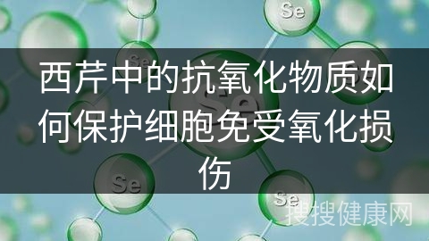 西芹中的抗氧化物质如何保护细胞免受氧化损伤