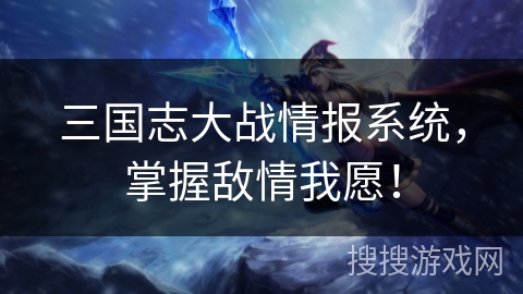 三国志大战情报系统，掌握敌情我愿！