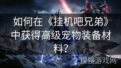 如何在《挂机吧兄弟》中获得高级宠物装备材料？