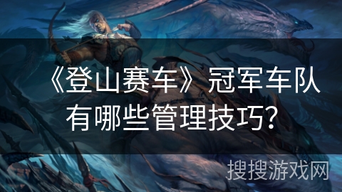 《登山赛车》冠军车队有哪些管理技巧？