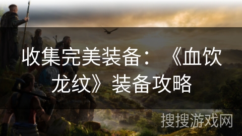 收集完美装备:《血饮龙纹》装备攻略 收集完美装备:《血饮龙纹》装备攻略
