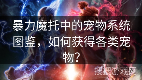 暴力魔托中的宠物系统图鉴,如何获得各类宠物? 暴力魔托中的宠物系统图鉴,如何获得各类宠物?