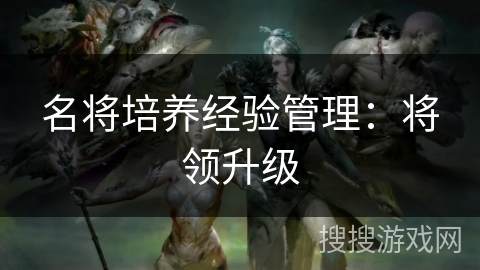 名将培养经验管理：将领升级