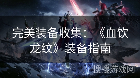 完美装备收集:《血饮龙纹》装备指南 完美装备收集:《血饮龙纹》装备指南