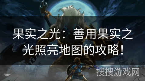 果实之光：善用果实之光照亮地图的攻略！