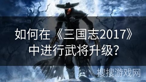 如何在《三国志2017》中进行武将升级？